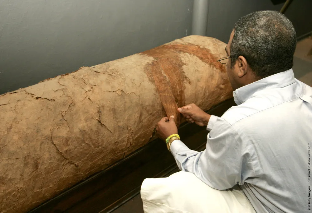 Largest Cigar In The World