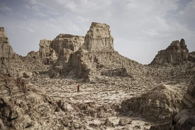A man walks through a salt canyon, near Dallol, in the Danakil Depression of the Afar region, on March 24, 2024. In the heart of the Horn of Africa, the Danakil Depression is one of the hottest, most inhospitable place on earth, with temperatures topping 50 degrees Celsius. With much of its territory lying an average of 100m below sea level, this scarcity populate area of the Afar region hosts one of only a handful of volcanoes to have an active lava lake, Erta Ale, and is littered with acid ponds, geysers and a deep crater with unearthly colours called Dallol. (Photo by Michele Spatari/AFP Photo)