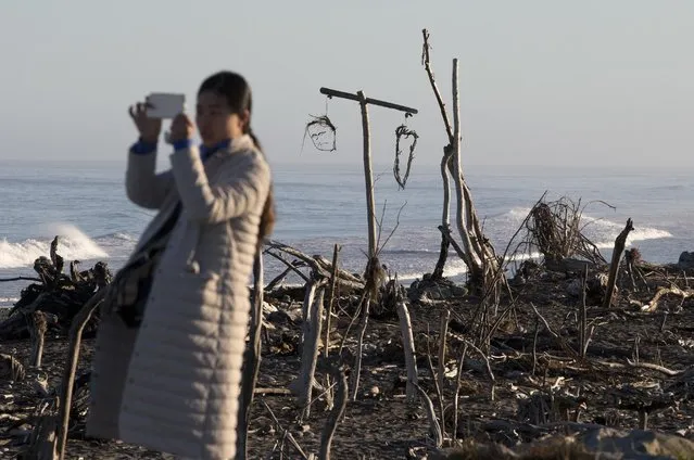 A tourist takes photos of the driftwood sculptures on the beach in Hokitika, New Zealand, Tuesday, February 28, 2017. Tourism numbers grew to 3.5 million visits in 2016, a rise of 12 percent on 2015. (Photo by Mark Baker/AP Photo)