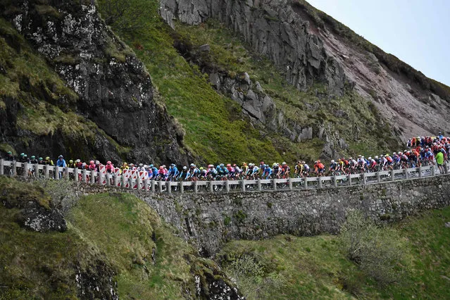 The pack rides during the sixth stage of the 71st edition of the Criterium du Dauphine cycling race, 229 km between Saint-Vulbas Plaine de l'Ain and Saint-Michel-de-Maurienne on June 14, 2019. (Photo by Anne-Christine Poujoulat/AFP Photo)