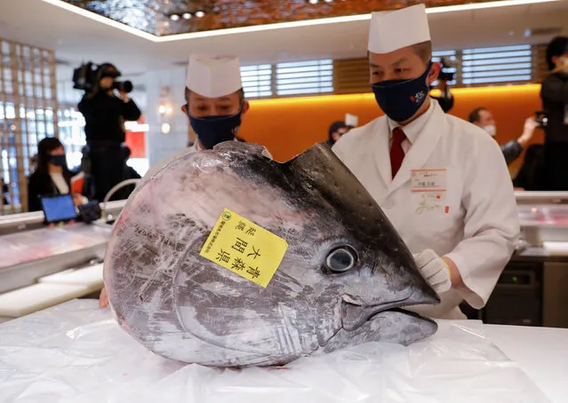 The head of 211-kilogram bluefin tuna that was auctioned for about 16.9 million Japanese yen or around 145,290 dollars and bought jointly by Michelin-starred sushi restaurant operator Onodera Group and wholesaler Yamayuk is carried is displayed at a sushi restaurant after the first tuna auction of the New Year in Tokyo, Japan January 5, 2022. (Photo by Issei Kato/Reuters)
