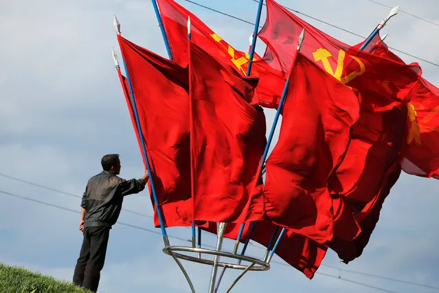 A man reaches for one of the flags of the Workers' Party of Korea (WPK) placed in central Pyongyang, North Korea May 4, 2016. (Photo by Damir Sagolj/Reuters)