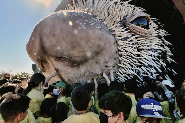 Los Angeles school children reach out to touch a giant puppet porcupine named Percy at Elysian Park in Los Angeles on Tuesday, March 1, 2022. Percy, a two-story puppet emerged from its home for an audience of school children and media members at the Los Angeles park on Tuesday. The adorable beast with its massive pink nose inspired oohs and awwws. A joint project of the San Diego Zoo Wildlife Alliance Jim Henson's Creature Shop, Percy was let out to celebrate next week's opening of the zoo's new Wildlife Explorers Basecamp. (Photo by Richard Vogel/AP Photo)