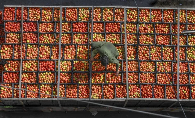 A labourer arranges tomatoes in crates at a market in Lahore, Punjab Province on November 24, 2019. (Photo by Arif Ali/AFP Photo)