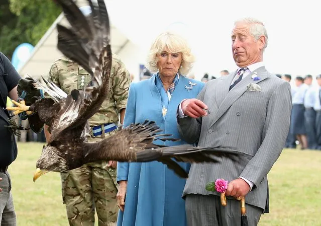 Prince Charles, Prince of Wales and Camilla, Duchess of Cornwall react as Zephyr (a bald eagle), the mascot of the Army Air Corps flaps his wings at Sandringham Flower Show on July 29, 2015 in King's Lynn, England. (Photo by Chris Jackson/Getty Images)