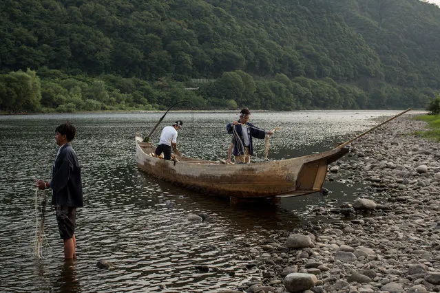 Cormorant masters and boatmen prepare for the nights “Ukai” on July 2, 2014 in Gifu, Japan. In this traditional fishing art “ukai”, a cormorant master called “usho” manages cormorants to capture ayu or sweetfish. The ushos of River Nagara have been the official staff of the Imperial Household Agency of Japan since 1890. Currently six imperial fishermen of Nagara River conduct special fishing to contribute to the Imperial family eight times a year, on top of daily fishing from mid-May to mid-October. (Photo by Chris McGrath/Getty Images)