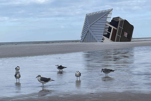 A lifeguard hut is on its side after Hurricane Milton at Clearwater Beach, Fla., on Friday, October 11, 2024 (Photo by Haven Daley/AP Photo)