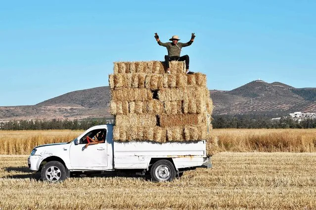 A man gestures while sitting above harvested bales of wheat packed in the back of a pickup truck in a field in the Sidi Thabet region near Ariana north of the capital Tunis on June 13, 2022. (Photo by Fethi Belaid/AFP Photo)