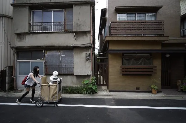 Tomomi Ota pushes a cart loaded with her humanoid robot Pepper as she strolls in her neighborhood in Tokyo, Japan, 26 June 2016. (Photo by Franck Robichon/EPA)