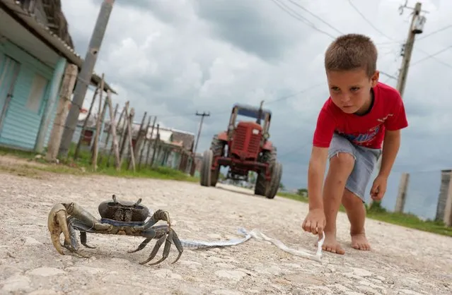 Yang Estrada, 5, plays with a crab on the street in La Panchita, Cuba on May 28, 2022. (Photo by Alexandre Meneghini/Reuters)