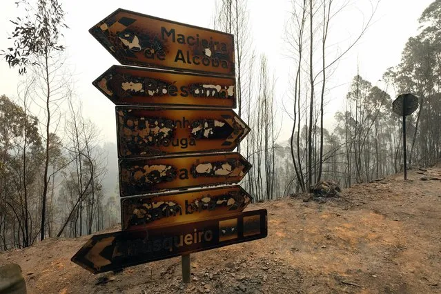 Burnt traffic signs stand by a road, Tuesday, August 9 2016, near Agueda, in the region of Aveiro, northern Portugal, where a fire raged Monday. The National Civil Protection Service said some 2,900 firefighters were in action Tuesday fighting dozens of forest fires. The worst-hit areas were in northern Portugal, where temperatures have exceeded 30 degrees Celsius (86 Fahrenheit) since Saturday. (Photo by Sergio Azenha/AP Photo)