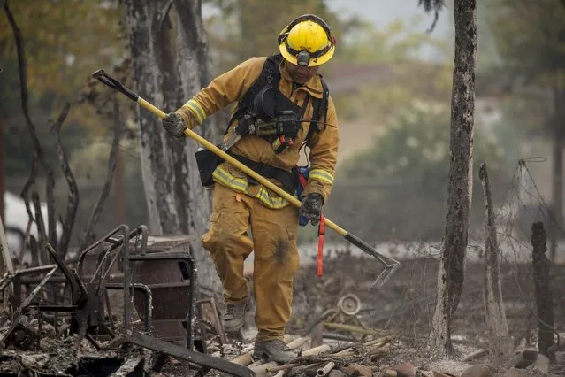 A firefighter searches for victims in the rubble of a home burnt by the Valley Fire in Middletown, California, September 14, 2015. (Photo by David Ryder/Reuters)