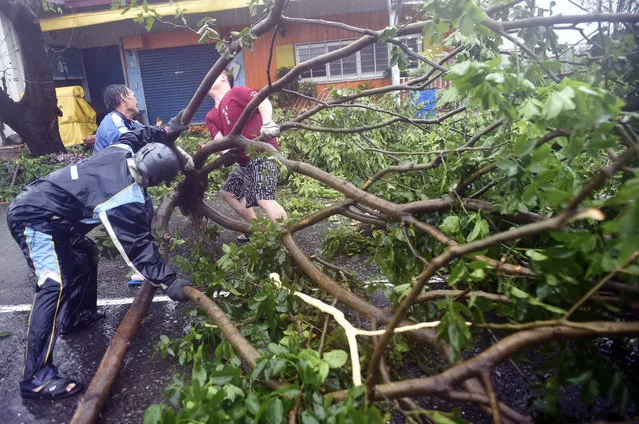 Local residents help clear fallen trees from the streets as typhoon Meranti lashed Kaohsiung, southern Taiwan, on September 14, 2016. (Photo by Sam Yeh/AFP Photo)