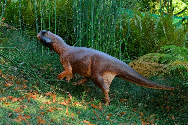 An artist's illustration of Psittacosaurus, a little dinosaur with a parrot-like beak and bristles on its tail that roamed thick forests in China about 120 million years ago is shown in this image released on September 15, 2016. (Photo by Courtesy Jakob Vinther/Reuters/University of Bristol and Bob Nicholls)