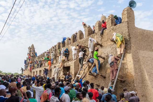 Residents stand on the walls during the annual replaster of the Djinguereber Mosque, also known as Djingareyber or Djingarey Ber, in Timbuktu on October 12, 2025. The 2025 replaster marks the 700th anniversary of the construction of this mosque, erected in the 14th century during the reign of Emperor Kankou Moussa. (Photo by Hameye Capii/AFP Photo)