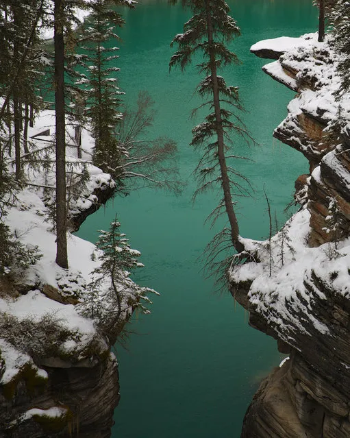 “Glacier Green”. Spring Thaw in the Canadian Rockies. Location: Jasper National Park in Alberta Canada. (Photo and caption by Gary Migues/National Geographic Traveler Photo Contest)