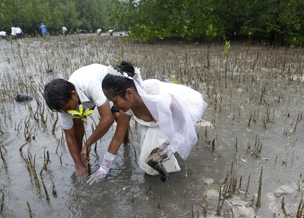 Wedding Photos from Around the World