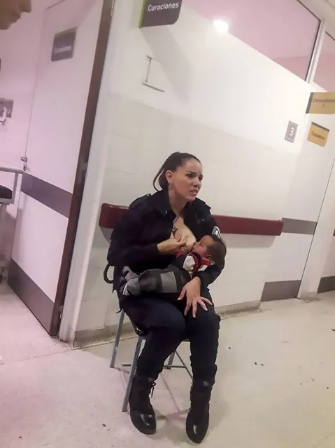 The cop, Celeste Ayala, works in the city of Berisso, in the eastern Argentina province of Buenos Aires. According to local media Ayala had been on guard duty at the children’s hospital of Sor Maria Ludovica when a baby was brought in crying desperately. Reportedly the baby had been bought to the hospital suffering from symptoms of malnutrition. The officer says she asked the doctors for permission to hold and feed him as she could see the baby was very hungry, and hospital staff were overloaded with work. The permission was given and Ayala cuddled the baby and started to breastfeed him, after which he reportedly stopped crying immediately. The photo received more than 68,000 likes, 94,000 shares and almost 300 admiring comments from netizens. (Photo by CEN: Central European News)