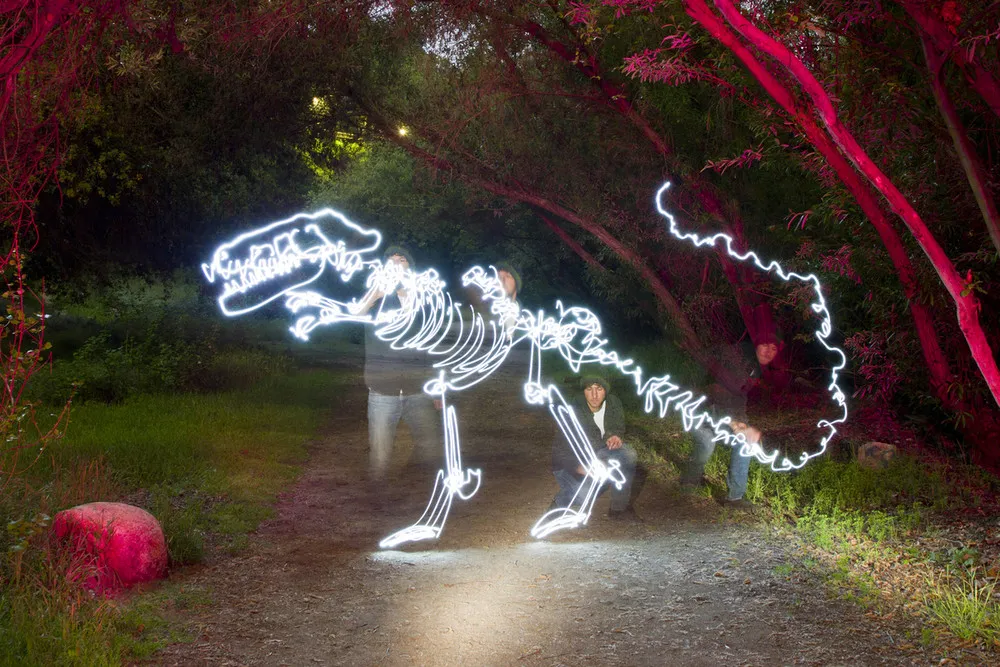 Dinosaur Light Paintings by Darren Pearson
