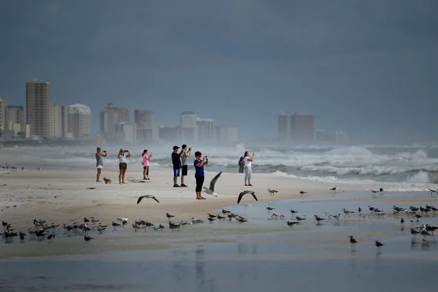 People look out to the Gulf of Mexico as Hurricane Michael approaches October 9, 2018 in Panama City Beach, Florida. Hurricane Michael strengthened to a Category 2 storm with winds over 100 miles per hour on Tuesday as Florida' s governor warned it could bring “total devastation” to parts of the southern US state. The storm – currently located over the Gulf of Mexico – is sweeping toward the Florida coast at around 12 miles (19 kilometers) per hour and is expected to make landfall on Wednesday afternoon, bringing with it “life threatening” storm surges and heavy rainfall, the National Hurricane Center said. (Photo by Brendan Smialowski/AFP Photo)