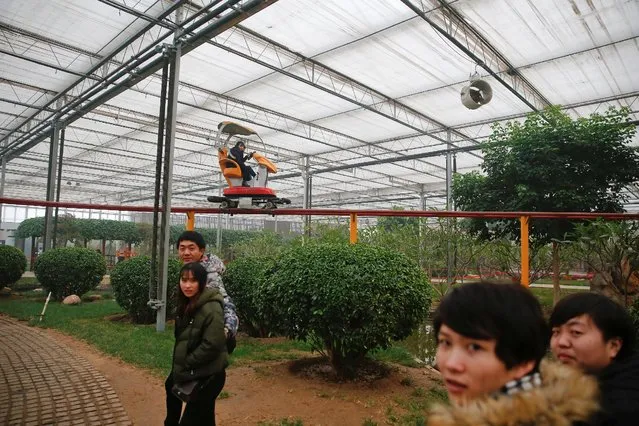 People enjoy their time inside the Jiutian Greenhouse in Langfang, Hebei province, as the region goes through the period of extreme air pollution with red alert issued, China December 19, 2016. (Photo by Damir Sagolj/Reuters)