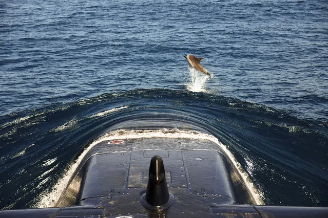 A dolphin leaps near the bow of the Israeli navy submarine Leviathan off the coast of Haifa in northern Israel on June 9, 2021. (Photo by Amir Cohen/Reuters)