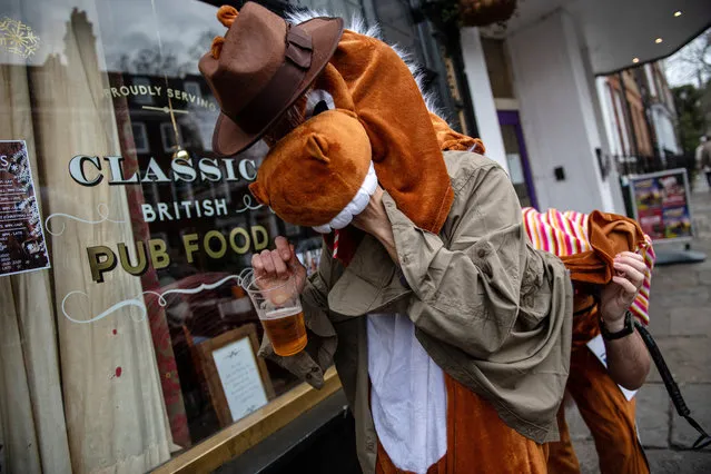 A pantomime horse drinks a beer outside a pub during the London Pantomime Horse Race on December 16, 2018 in London, England. The race consists of participants dressing up as pantomime horses and running between pubs in Greenwich and stopping for a drink and games in between. (Photo by Chris J. Ratcliffe/Getty Images)