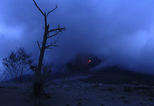 Pyroclastic flow glows red during the eruption of Mount Sinabung near Sigarang Garang village in Karo district, January 19, 2014. (Photo by Reuters/Beawiharta)