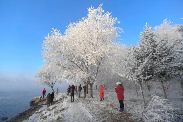 Tourists gather on the banks of Songhuajiang River pn Jilin, China to take in the rime-clad scene on December 11, 2018. Rime forms on cold objects by the rapid freezing of water vapour in cloud or fog. (Photo by Zhang Nan/Xinhua News Agencya/Barcroft Images)