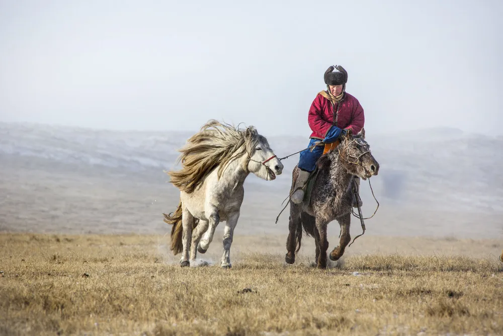 Mongolian Cowboys
