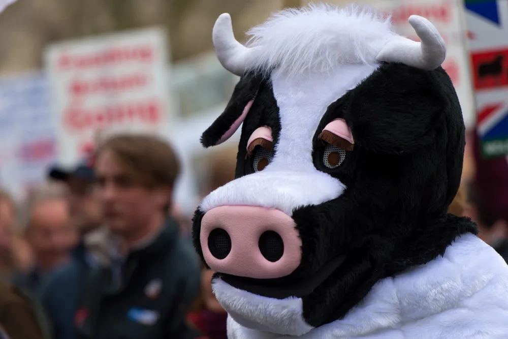 The Day in Photos – March 24, 2016