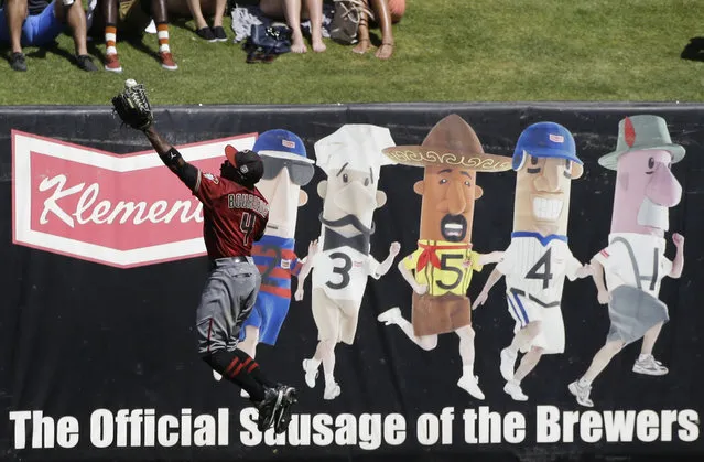 Arizona Diamondbacks' Jason Bourgeois fields a double hit by Milwaukee Brewers' Colin Walsh during the fifth inning of a spring training baseball game Saturday, March 26, 2016, in Phoenix. (Photo by Jae C. Hong/AP Photo)