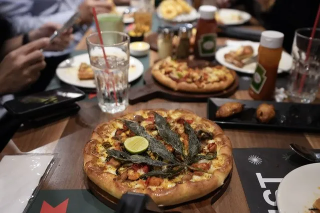 A pizza topped with a cannabis leaf is served to the customers at a restaurant in Bangkok, Thailand on November 24, 2021. (Photo by Sakchai Lalit/AP Photo)