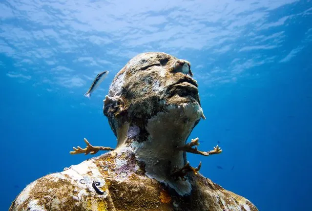 “Man on fire”. Underwater Sculpture, Museo Subacuático de Arte, Cancun. (Photo by Jason deCaires Taylor/UnderwaterSculpture)