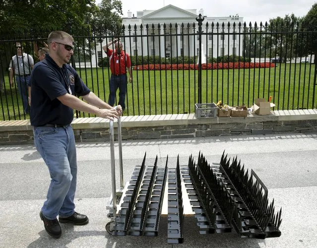 A U.S. government contractor wheels out parts needed to begin the initial installation of security spikes (on cart) on the existing White House perimeter fence in Washington, United States, July 1, 2015. The White House fence will start to get a spiked top on Wednesday in a short-term bid to thwart intrusions at the U.S. executive mansion, authorities said. (Photo by Gary Cameron/Reuters)