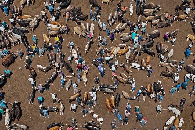 This aerial photo taken on May 22, 2024 shows people visiting a livestock market in Yili, in northwestern China's Xinjiang region. (Photo by AFP Photo/China Stringer Network)