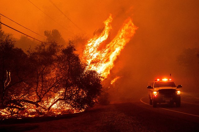 Flames leap above a vehicle on Canyon Drive as the Thompson Fire burns in Oroville, Calif., Tuesday, July 2, 2024. An extended heatwave blanketing Northern California has resulted in red flag fire warnings and power shutoffs. (Photo by Noah Berger/AP Photo)