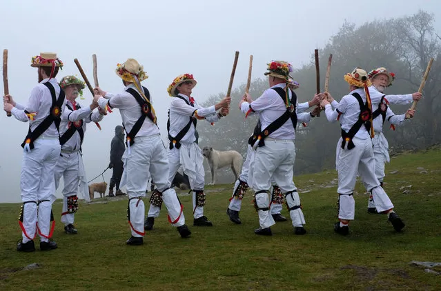 Leicester Morrismen dance during May Day celebrations at Bradgate Park in Newtown Linford, Britain May 1, 2017. (Photo by Darren Staples/Reuters)