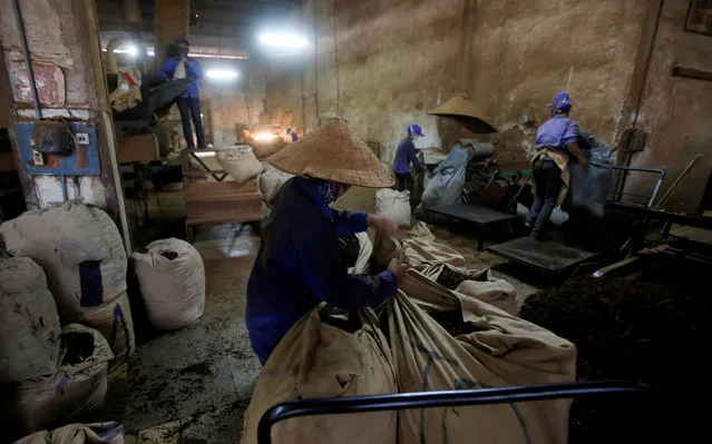 Women work at a tea factory producing black tea for export in Yen Bai province, Vietnam, August 4, 2016. (Photo by Reuters/Kham)
