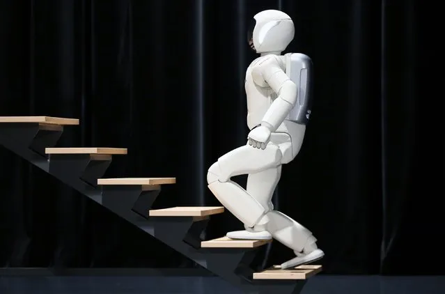 Honda's latest version of the Asimo humanoid robot walks up stairs during a presentation in Zaventem near Brussels July 16, 2014. Honda introduced in Belgium an improved version of its Asimo humanoid robot that it says has enhanced intelligence and hand dexterity, and is able to run at a speed of some 9 kilometres per hour (5.6 miles per hour). (Photo by Francois Lenoir/Reuters)