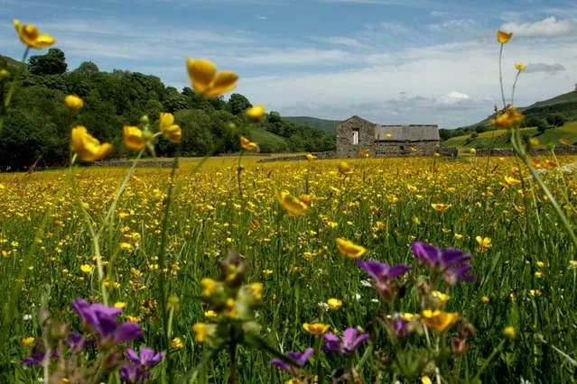 Yorkshire Dales National Park. Characterised by striking peaks, limestone pavements and spectacular waterfalls, Yorkshire Dales National Park is one of a kind. It’s an area of over 1,700 square kilometres covering the Pennines of Cumbria and North Yorkshire. (Photo by Tom Collier)