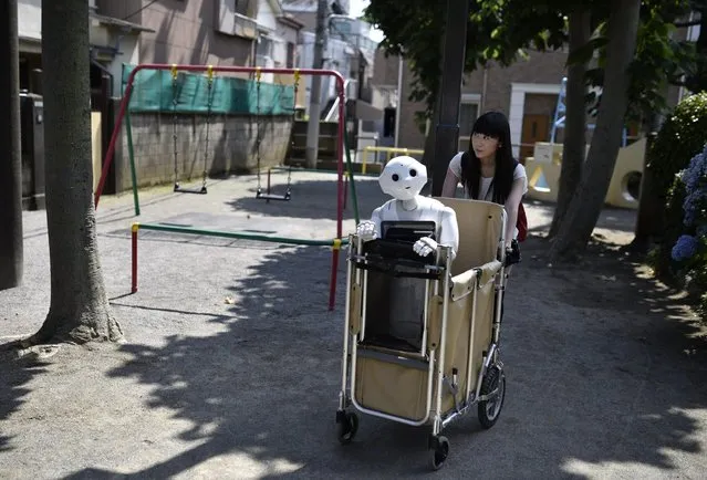 Tomomi Ota pushes a cart loaded with her humanoid robot Pepper as she strolls through a local playground in Tokyo, Japan, 26 June 2016. (Photo by Franck Robichon/EPA)