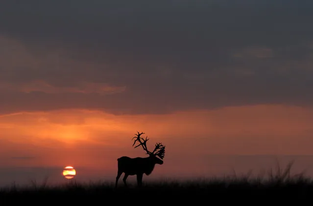 Photo by Vadim Trunov