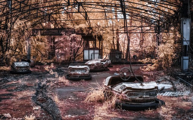 Bumper cars in Pripyats amusement park. (Photo by Vladimir Mitgutin/Caters News Agency)