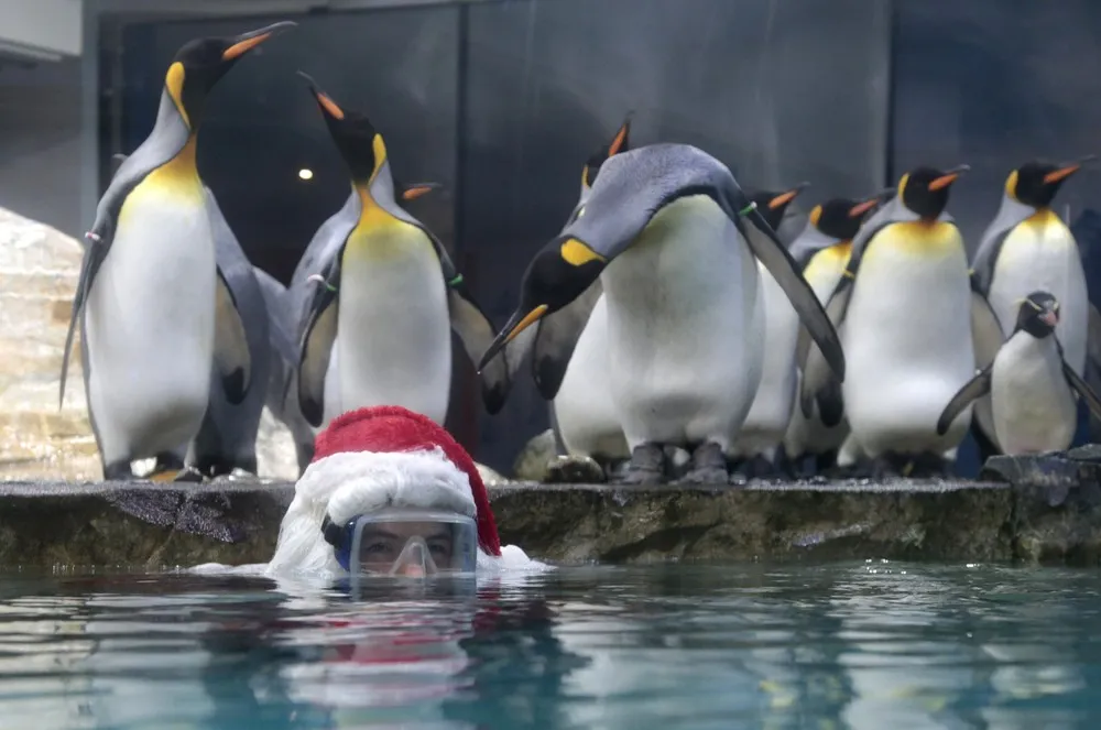 Christams Madness Around the World: Underwater