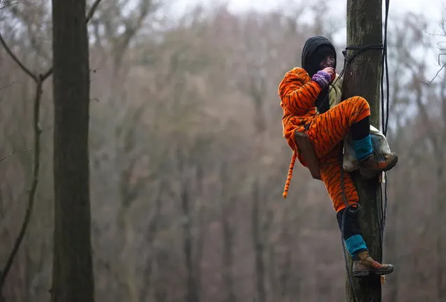 An activist is seen on a tree during a protest against the extension of the A49 motorway, near Dannenrod, Germany, December 4, 2020. (Photo by Kai Pfaffenbach/Reuters)