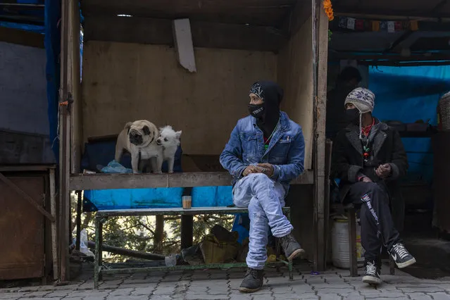 A man wearing a face mask as protection against the coronavirus waits with his dogs at an empty roadside stall in Dharmsala, India, Monday, December 14, 2020. (Photo by Ashwini Bhatia/AP Photo)
