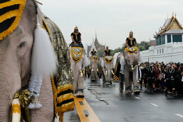 Ayuthaya elephants and mahouts pay their respects at the Royal Palace where Thailand's late king Bhumibol Adulyadej is lying in state in Bangkok, Thailand November 8, 2016. (Photo by Jorge Silva/Reuters)