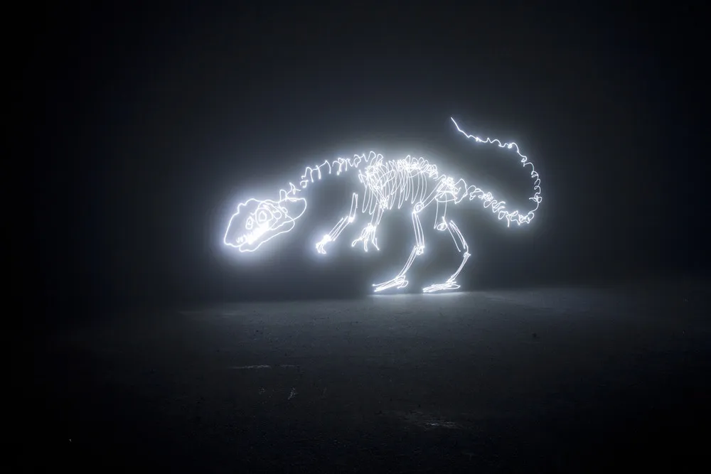 Dinosaur Light Paintings by Darren Pearson