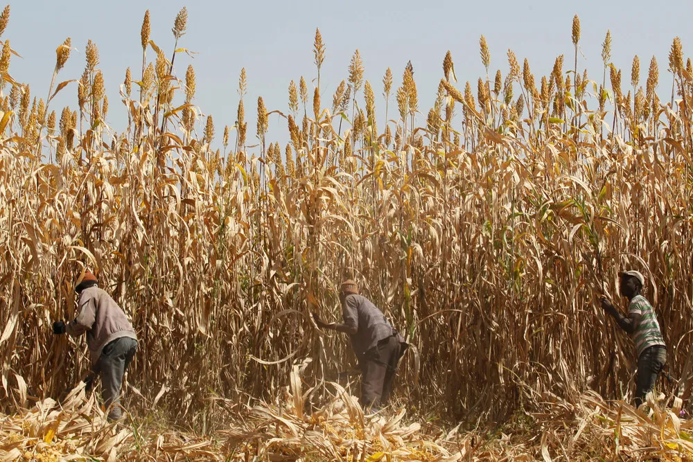 A Look at Life in Nigeria